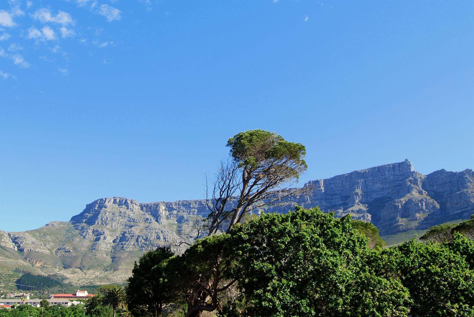 Ashanti Lodge Backpackers Cape Town Ngoại thất bức ảnh
