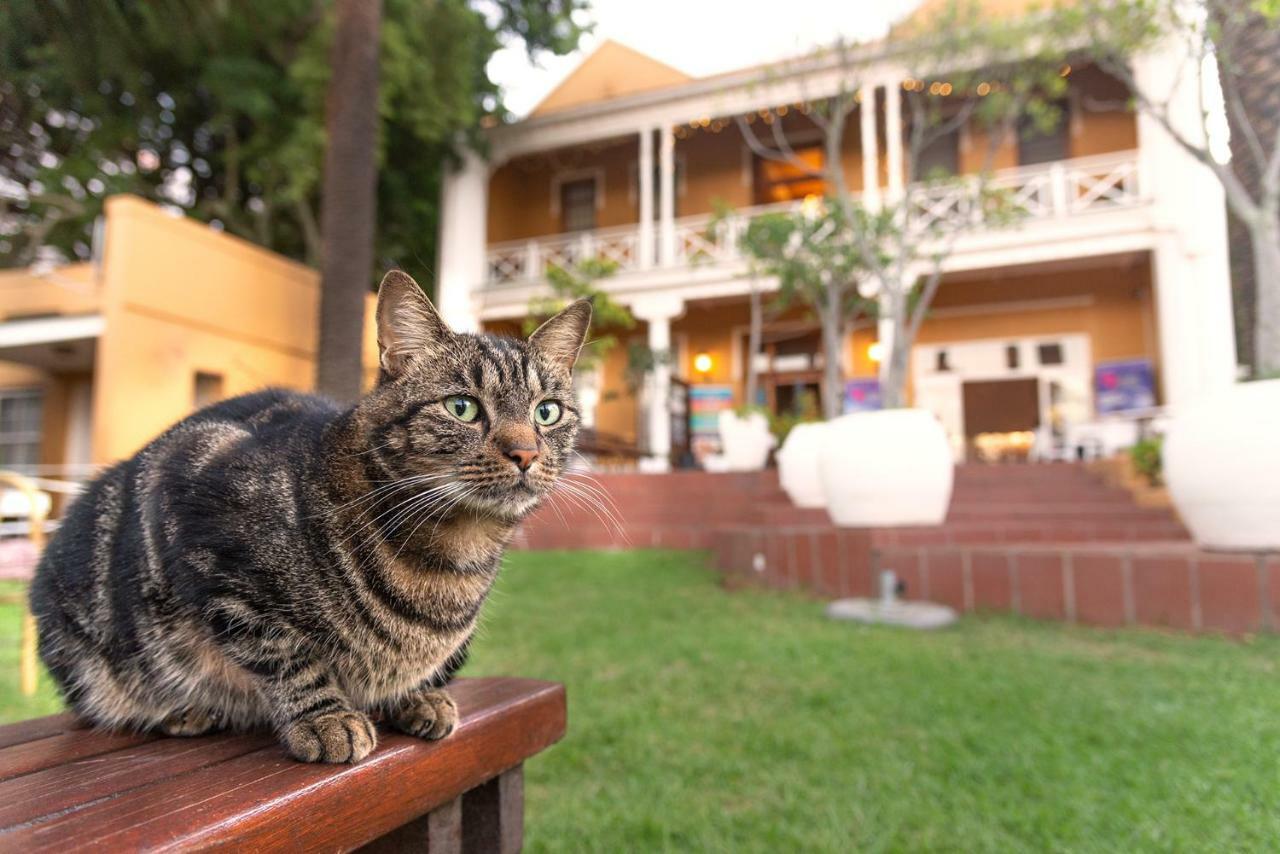 Ashanti Lodge Backpackers Cape Town Ngoại thất bức ảnh